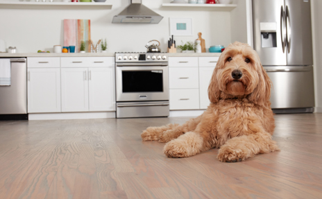 Luxury Vinyl Flooring